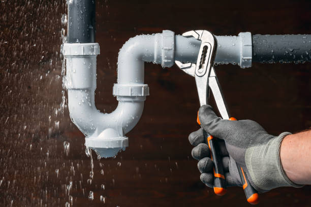 Professional Drain Cleaning technician working in Trappe, MD